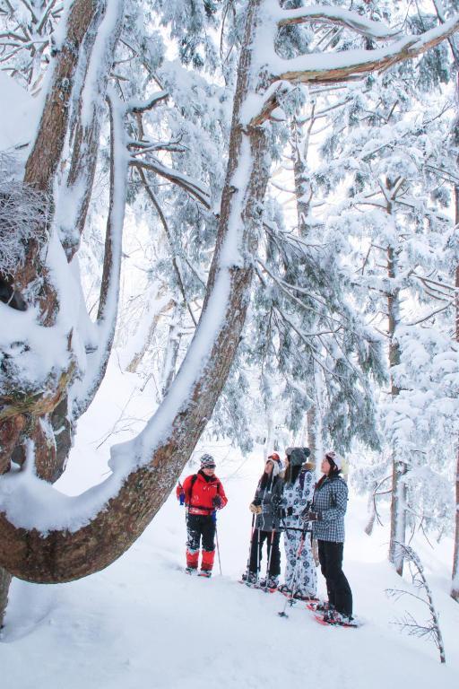 Aspen Shiga Otel Yamanouchi  Dış mekan fotoğraf