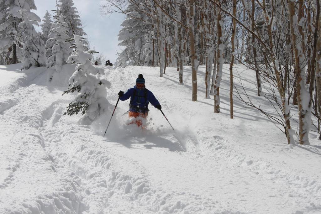 Aspen Shiga Otel Yamanouchi  Dış mekan fotoğraf