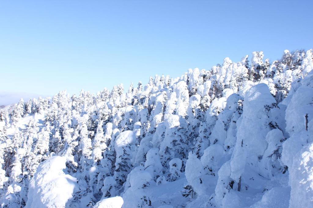 Aspen Shiga Otel Yamanouchi  Dış mekan fotoğraf