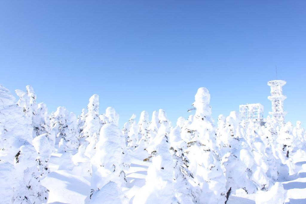 Aspen Shiga Otel Yamanouchi  Dış mekan fotoğraf