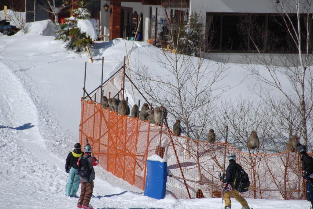 Aspen Shiga Otel Yamanouchi  Dış mekan fotoğraf